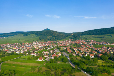 Kintzheim在Château du Haut-Kœnigsbourg和Volerie des 
