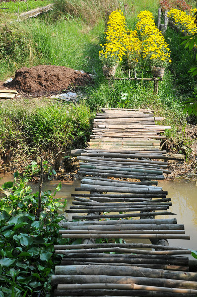 Sa Dec花村，Dong Thap，越南