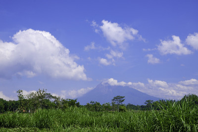 景观景观，稻田和山