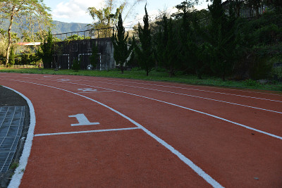 在学校领域