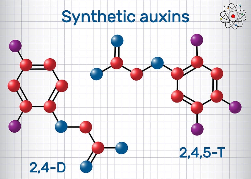 trichlorophenoxyacetic acid (2,4,5-T) molecule. Sy