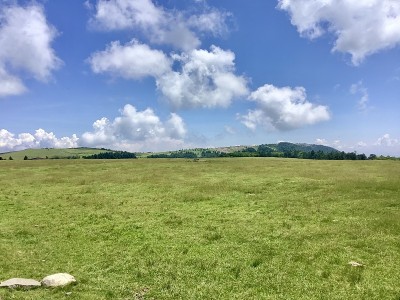 海拔2000米的宇津原高原夏季风光