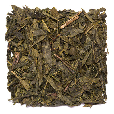 干茶煎茶孤立在白色背景