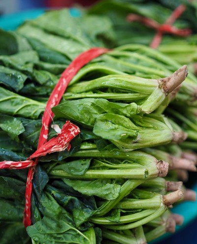 韩国新鲜有机蔬菜菠菜