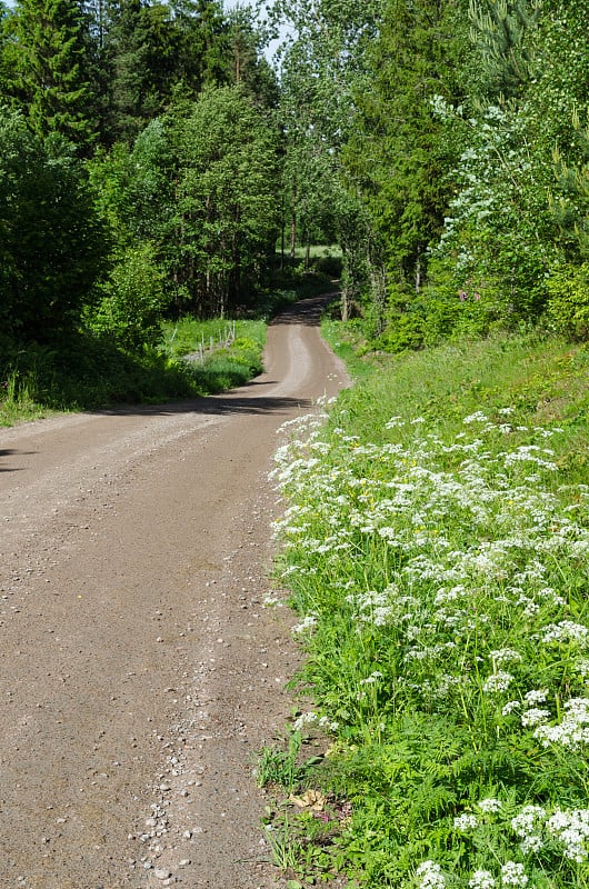 美丽的乡村公路在夏天的季节