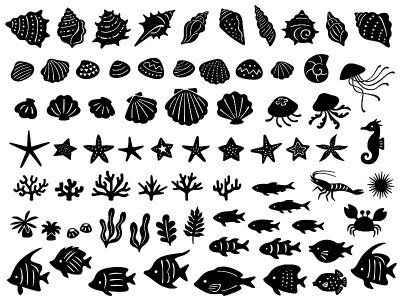 各种海洋生物的插图