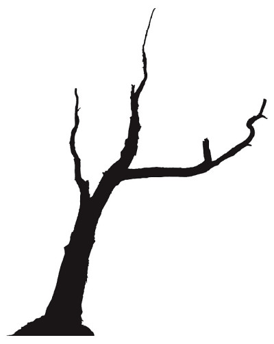 死树