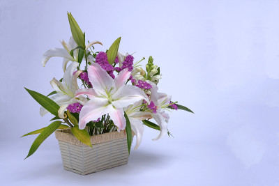 尤里插花