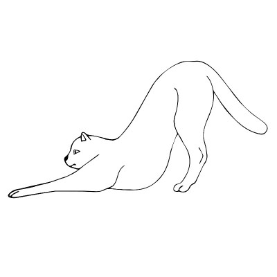 矢量手绘涂鸦素描猫