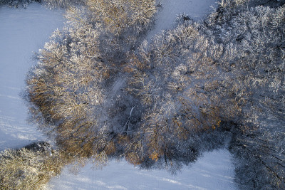 空中的冬季仙境与下奥地利雪林的嗡嗡声