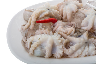 生的章鱼