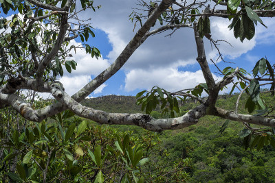 Veadeiros的Chapada dos Veadeiros