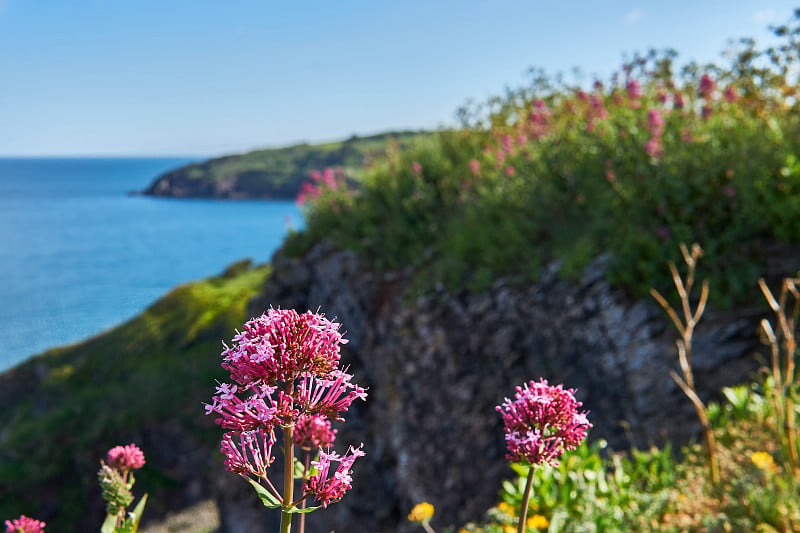 2021年6月04。Brixham,英国。从英国德文郡英国里维埃拉贝里黑德的悬崖上看。蓝色的海洋。岩