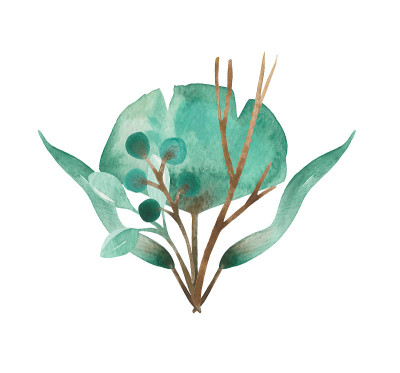 婚礼花束的叶子，用水彩画