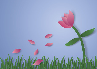 花瓣飞