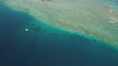 海中海景珊瑚礁