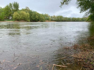 杜罗河与春雨