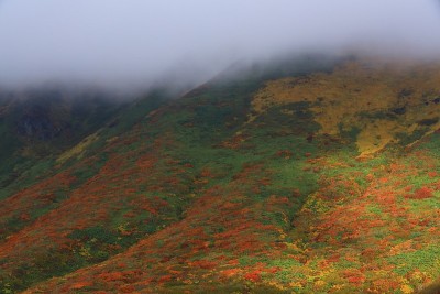 栗山的秋叶