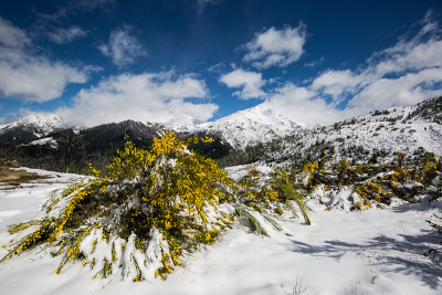 皇后镇刚下过雪