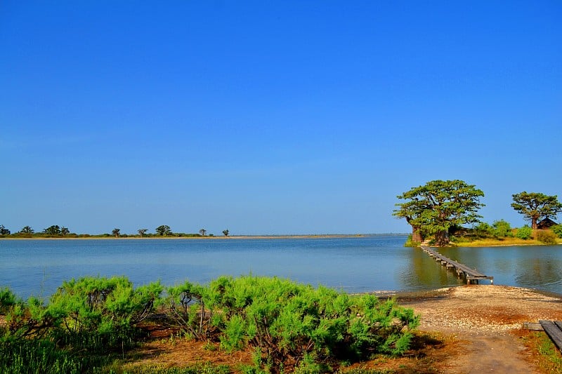 塞内加尔塞纳-萨卢姆三角洲的美丽风景