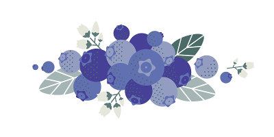 蓝莓,覆盆子。平坦的插图。成熟的浆果、树叶和花朵。