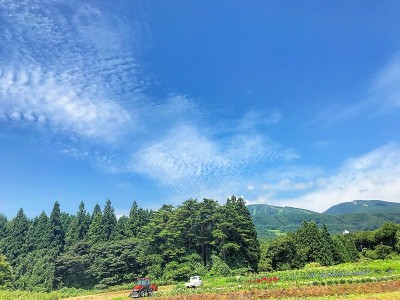 Shizukuishi