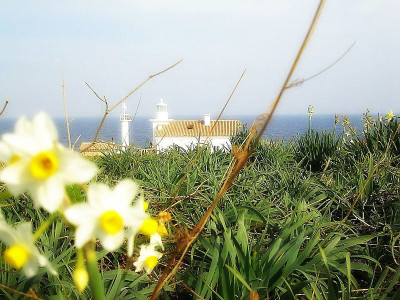 灯塔