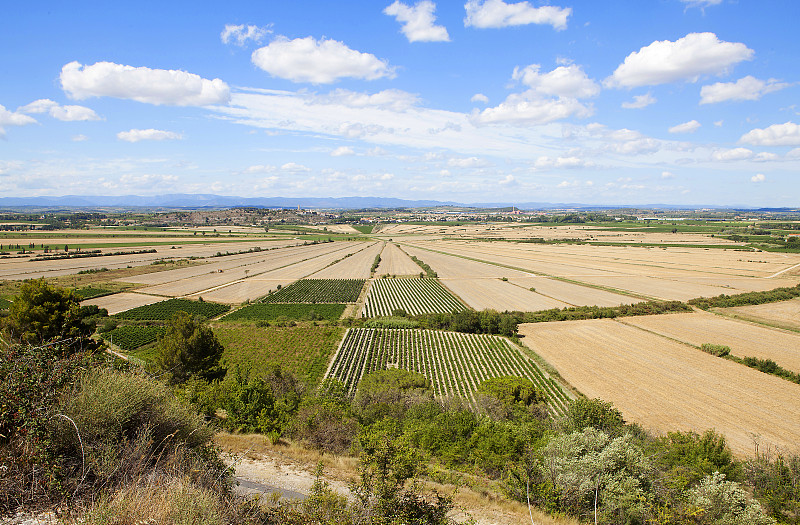 Oppidum d'EnsÃ©rune是一个古老的山城(或Oppidum)