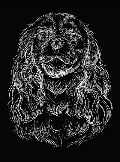 黑骑士国王查尔斯猎犬矢量手绘肖像