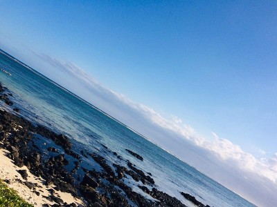 海