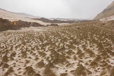 穆特诺夫斯基火山令人惊叹的风景