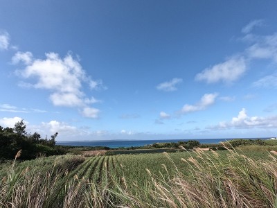 宫古岛的风景