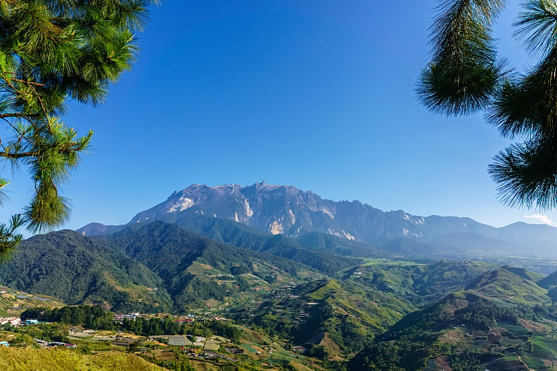 基纳巴卢山被松树的叶子环绕着