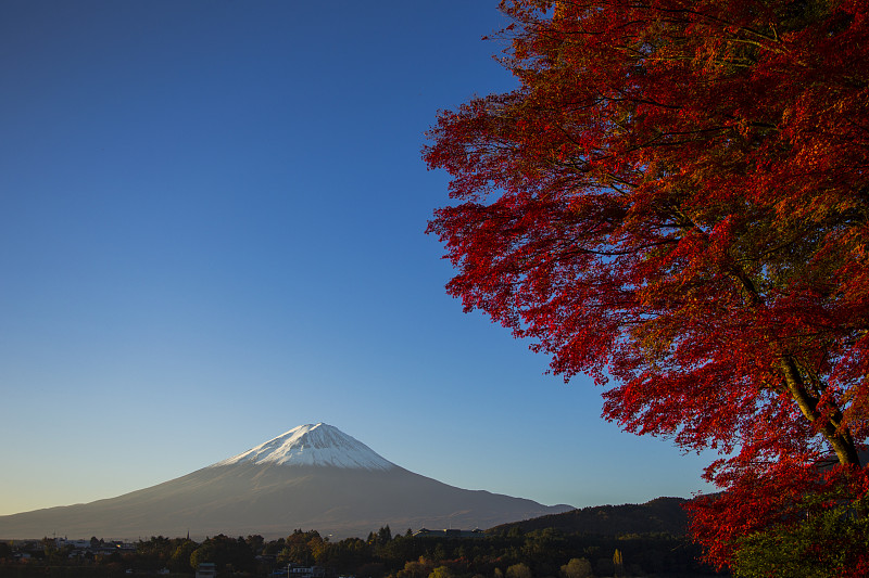 富士山的秋叶是红色的。日本