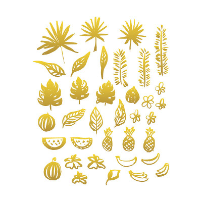 金手拉植物