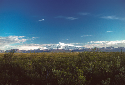阿拉斯加——Wrangell-St。Elias NP - Nabesna路-山桑福德- 1997