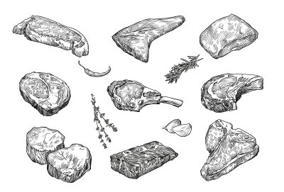牛排类型绘制插图集