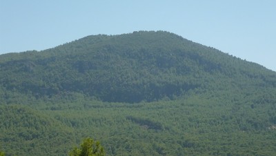 穆格拉