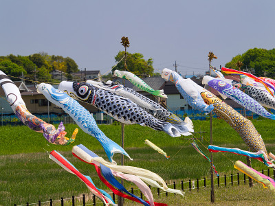 鲤鱼等浮电缆