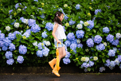 女孩和绣球花