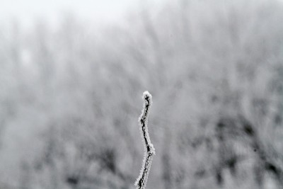 大雪