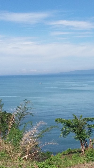 稻田和海滩的照片与晴朗的天空背景