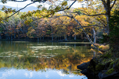 知子五湖(知子五湖)[第四湖]秋叶，知子，北海道，日本