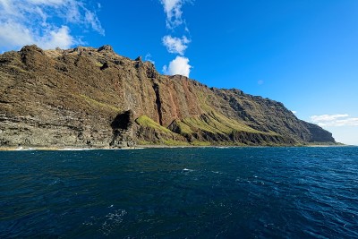 在巴利海岸