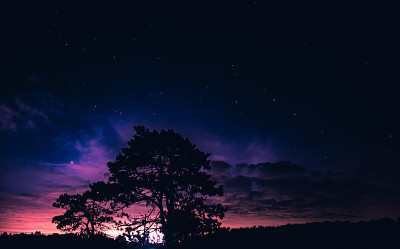 紫霞流星雨期间的夜空