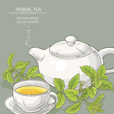 甜叶菊茶插图