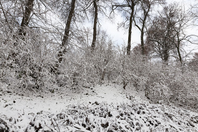 冰雪公园