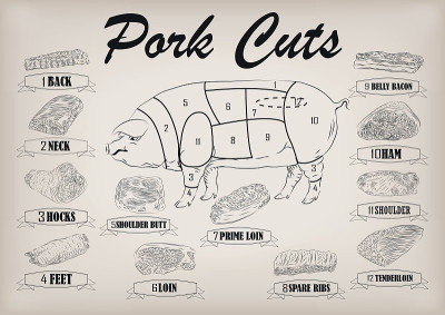猪肉猪侧胴体切割信息图形方案符号矢量插图