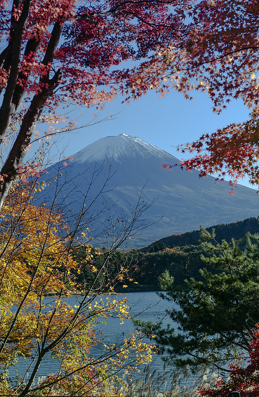 Mt.Fuji在秋天