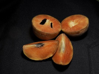 在黑色背景上的Sapota或sawo或sapodiata果实